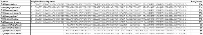 DNA sequence comparison table, amplified gene regions, nucleotide lengths for various species analysis.