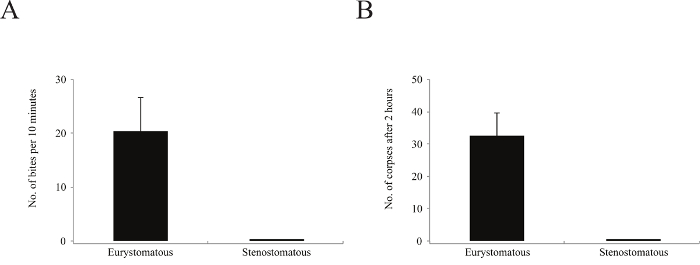 Bar charts comparing eurystomatous and stenostomatous bites and corpses; statistical data visualization.
