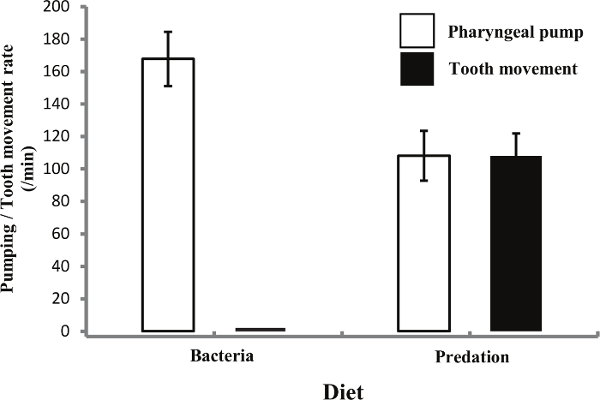 Pumping rate vs. diet bar chart; pharyngeal pump vs. tooth movement in bacteria and predation.