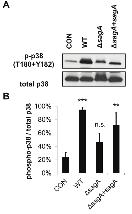 figure-results-2 figure-results-2