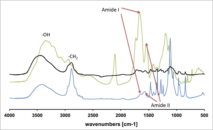 figure-results-8 FTIR spectrum graph, showing amide I and II peaks, OH, CH2 bands, for protein structure analysis.