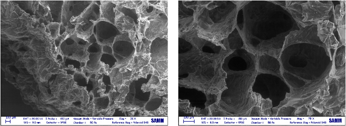 figure-results-9 Scanning electron microscope images of porous material structure, magnified at 31x and 75x.