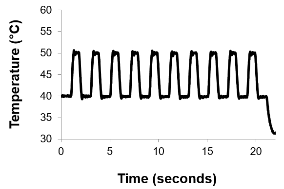 Temperature fluctuation graph; time vs. temperature, thermal cycling process analysis.