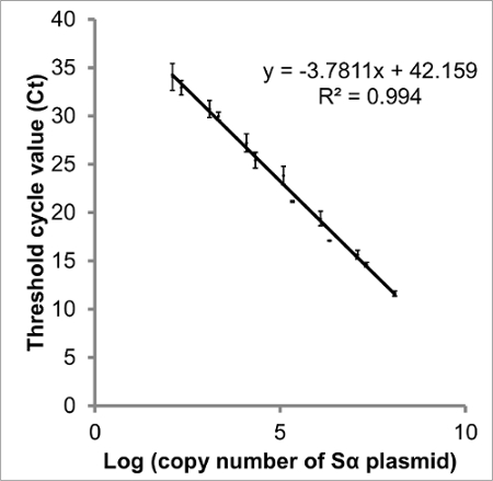 figure-results-3 PCR standard curve; graph of Ct vs. plasmid copy log; qPCR efficiency and quantification analysis.