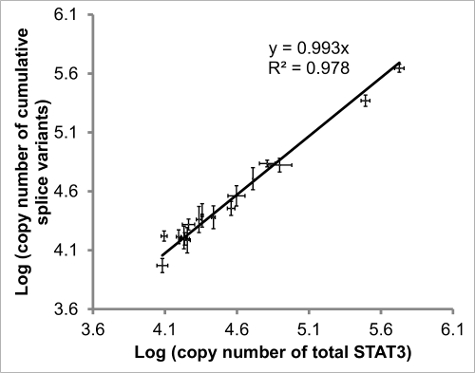 figure-results-4 Logarithmic graph showing STAT3 splice variants correlation; linear regression, R²=0.978, data analysis.