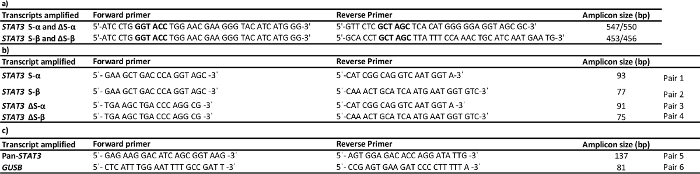 figure-results-6 PCR primer table with STAT3 transcript sequences, forward/reverse primers, and amplicon sizes.