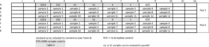 figure-results-10 PCR setup diagram; 12-sample analysis, includes NTC, cDNA standards; parallel data processing.