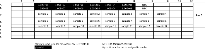 figure-results-13 PCR plate layout, samples, dilution series, standard curve, NTC, plasmid; DNA quantification setup.