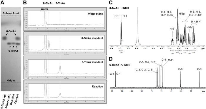 Thin-layer chromatography of carbohydrate derivatives; NMR spectra, absorption for compound analysis.