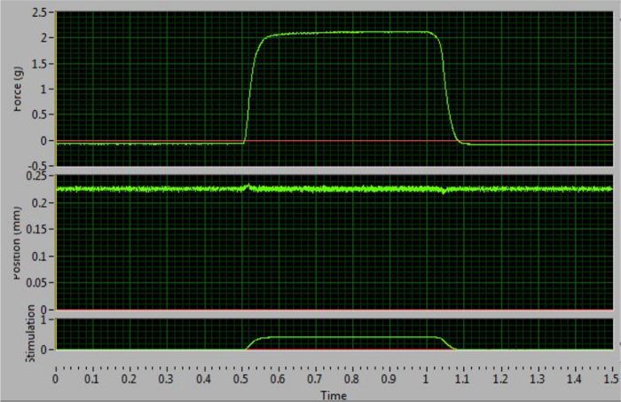 Force and position vs. time graph; muscle stimulation analysis in biomechanics experiment.