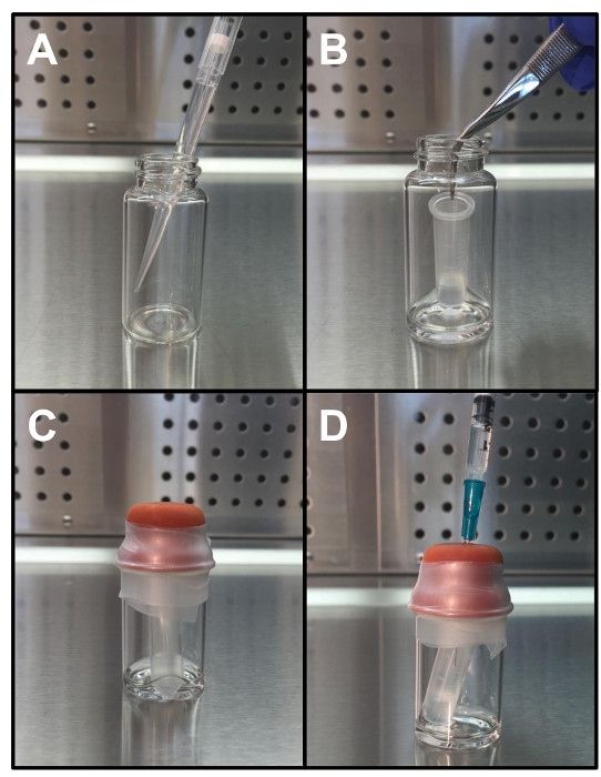 Vortex-assisted liquid-liquid microextraction process in four steps with pipettes and vials.