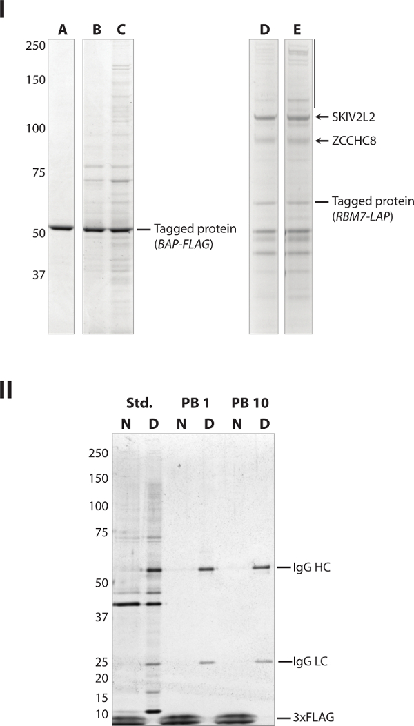 figure-results-1