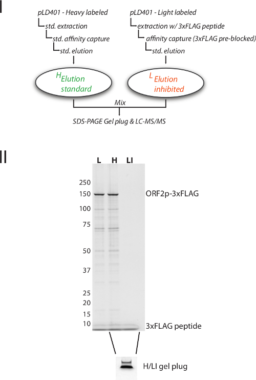 figure-results-3