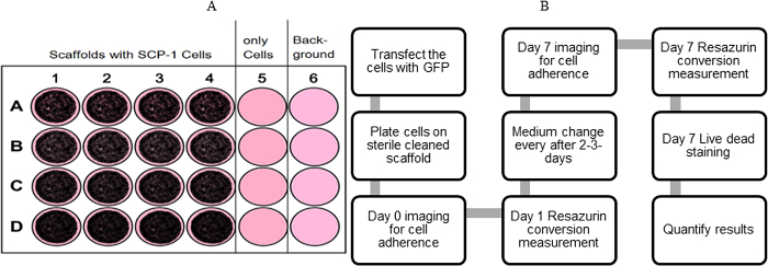 figure-protocol-2