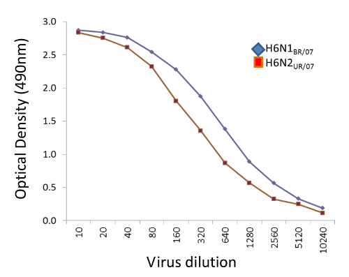 Optical density chart; virus dilution vs. OD at 490nm; comparative analysis of two strains.