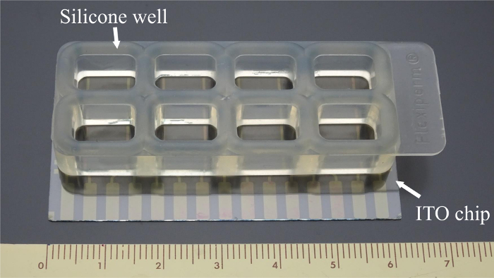 Silicone well and ITO chip setup for electrochemical experiments, scale for measurement reference.