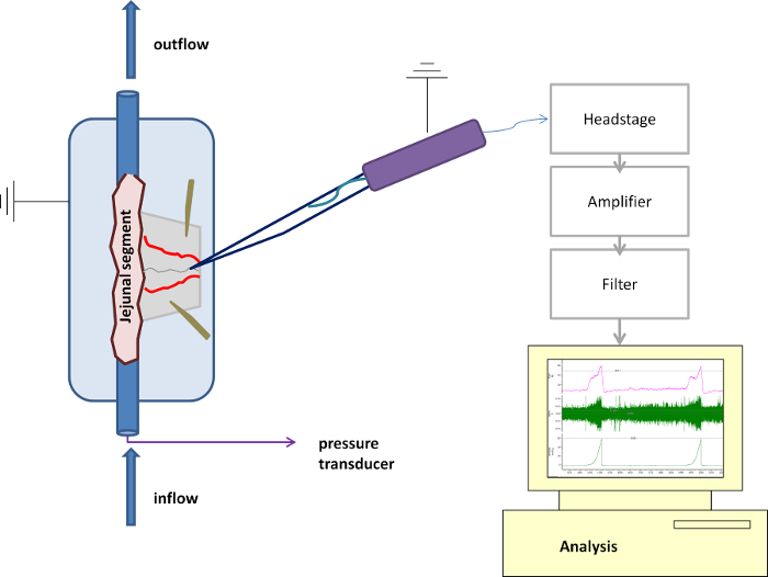 figure-protocol-1