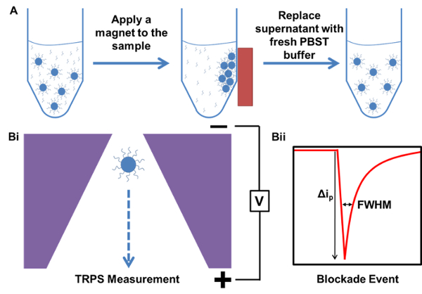 Magnetic separation and TRPS diagram for nanoparticle analysis; blockade event data graph.