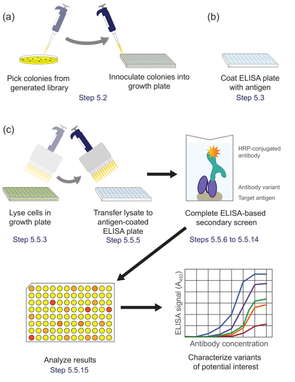figure-protocol-4