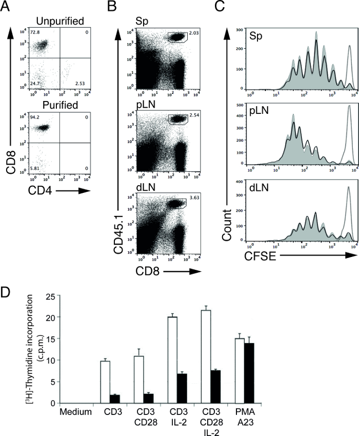 Flow cytometry analysis of CD4/CD8 cells showing purification, distribution (Sp, pLN, dLN), CFSE count.