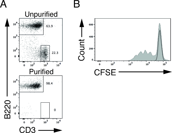 Flow cytometry analysis showing CD3/B220 marker expression and CFSE proliferation histograms.