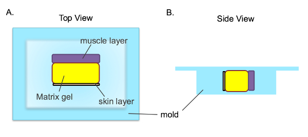 figure-results-1