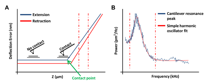 Atomic force microscopy deflection-extension vs. retraction graph and cantilever resonance power spectrum.