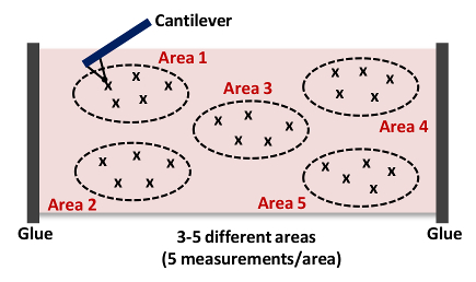 Cantilever force measurements diagram; areas with measurements marked for material analysis.
