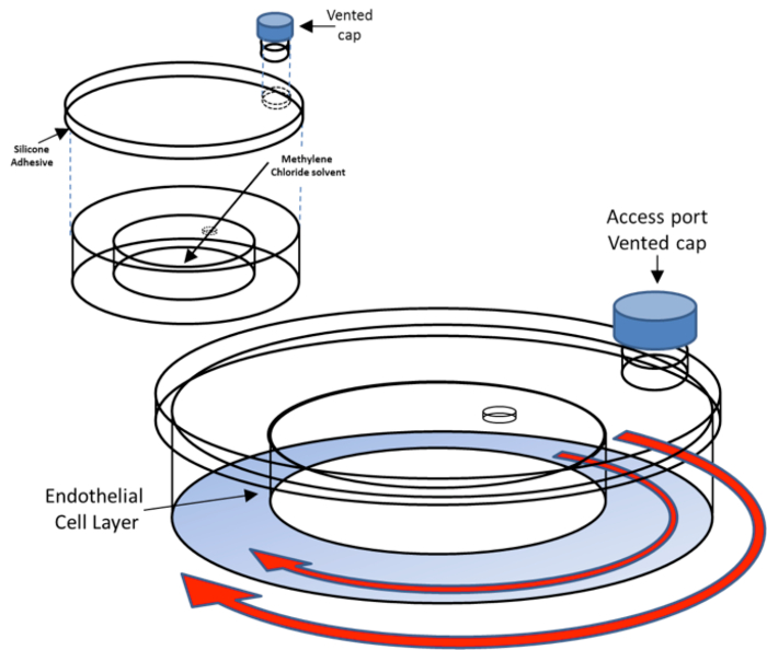 figure-protocol-1
