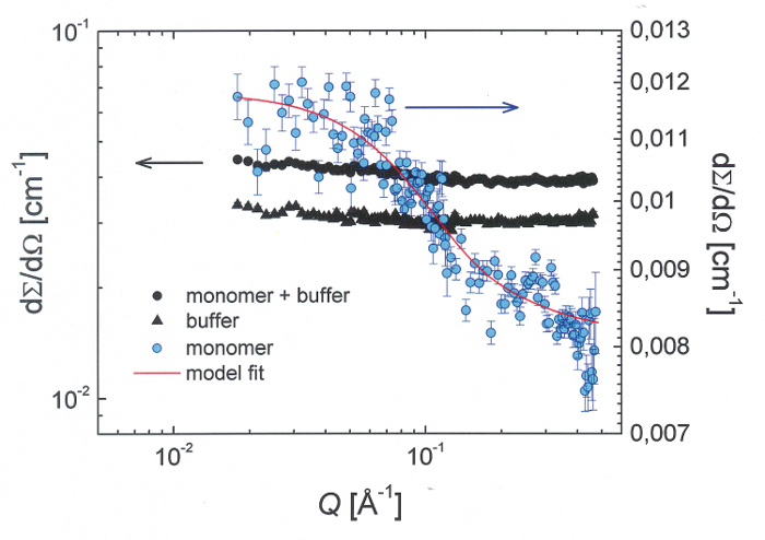 Small-angle X-ray scattering graph; monomer analysis, data fitting, buffer interactions, model fit.