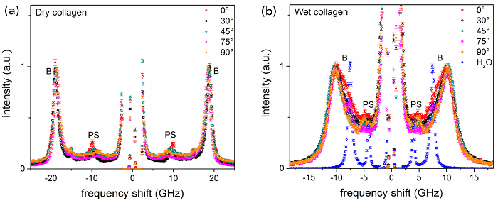 figure-results-5 Dry and wet collagen spectral data; frequency shift, intensity variations in GHz; comparative graph.