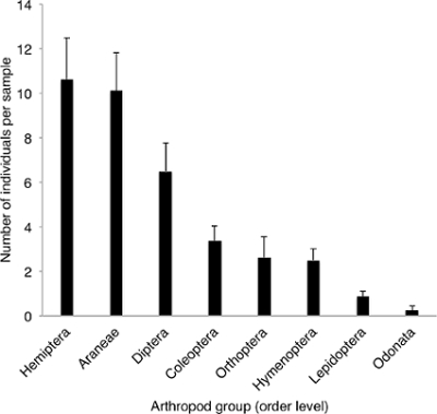 figure-results-1 Bar chart showing arthropod order abundance; Hemiptera, Araneae highest in samples; ecological study.