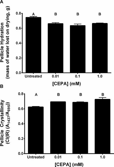 Pellicle hydration and crystallinity bar graphs; CEPA concentration effect; comparative analysis.