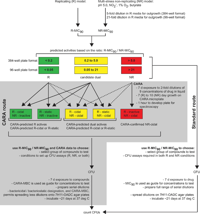 Antimicrobial susceptibility testing diagram, R-MIC<sub>90</sub>/NR-MIC<sub>90</sub> ratios, 384/96-well plates.