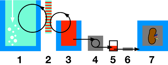figure-protocol-1 Biochemical process diagram showing protein purification workflow with chromatography and filtration.
