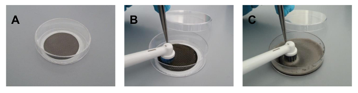 Petri dish filtration setup in three stages using mesh for material capture experiment.