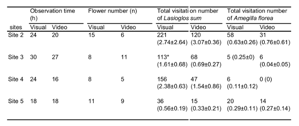 Pollinator visitation analysis table, site data comparison, observation hours, flower count, visual/video methods.