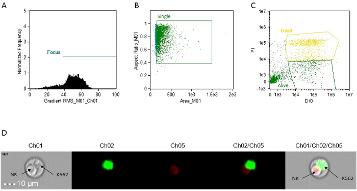 figure-protocol-1 Flow cytometry analysis; scatter plots, microscopic fluorescence images; cell viability, focus, single-cell identification.
