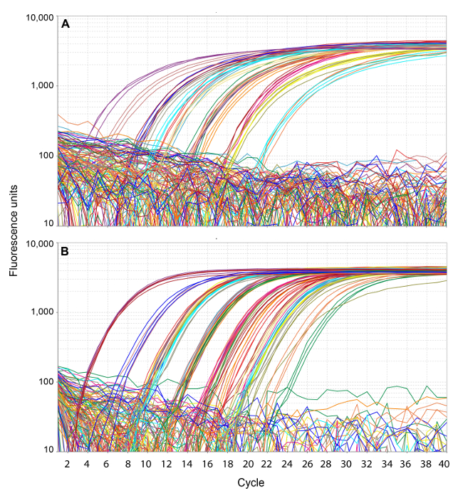 figure-results-1 qPCR fluorescence graph showing amplification cycles and relative fluorescence units.