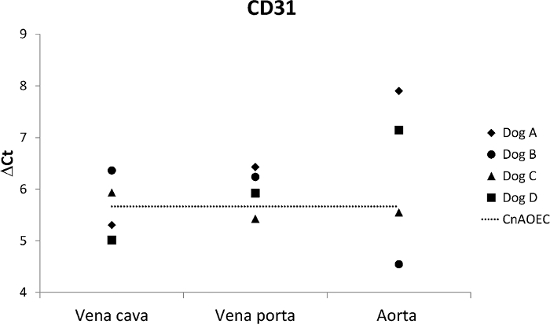 figure-results-4 CD31 ΔCt values in dogs' blood vessels; scatter plot, data comparison, relative expression analysis.