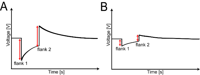 figure-protocol-5 Voltage vs. time graph, flanks A and B, depicting electrical signal variations over time.
