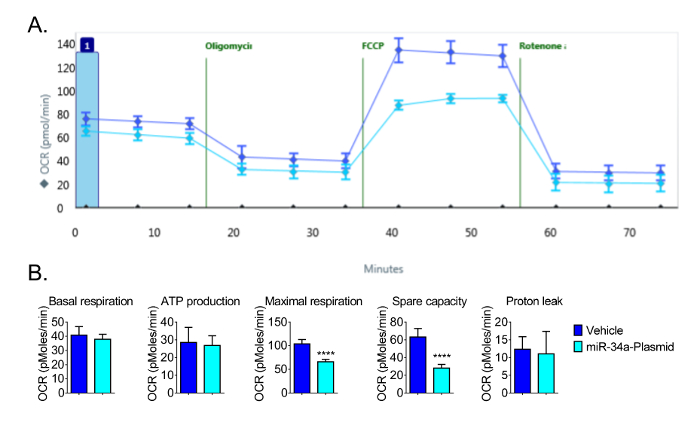 figure-results-4