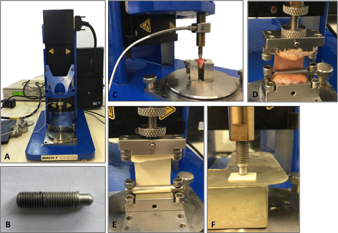 Texture analysis machine setup testing material strength; includes sample fixtures for compression.