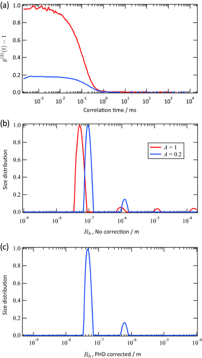 Dynamic light scattering graph; correlation time vs intensity fluctuation, size distribution analysis.