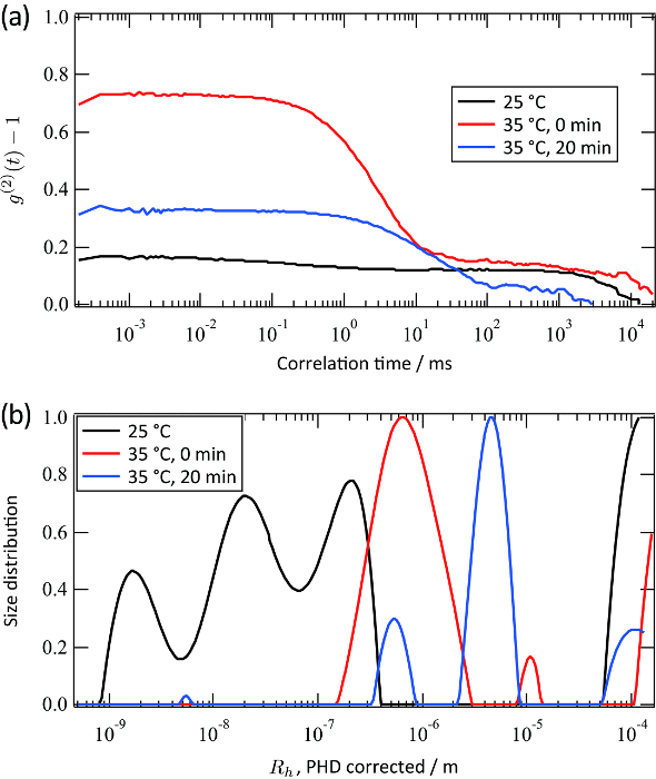 Dynamic light scattering graphs; correlation time analysis; particle size distribution; temperature effects.