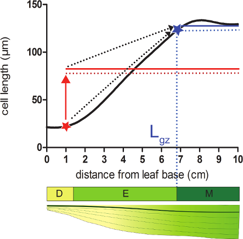 figure-protocol-1