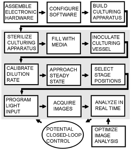 Culturing process diagram, electronic hardware setup, steady state calibration, image analysis.