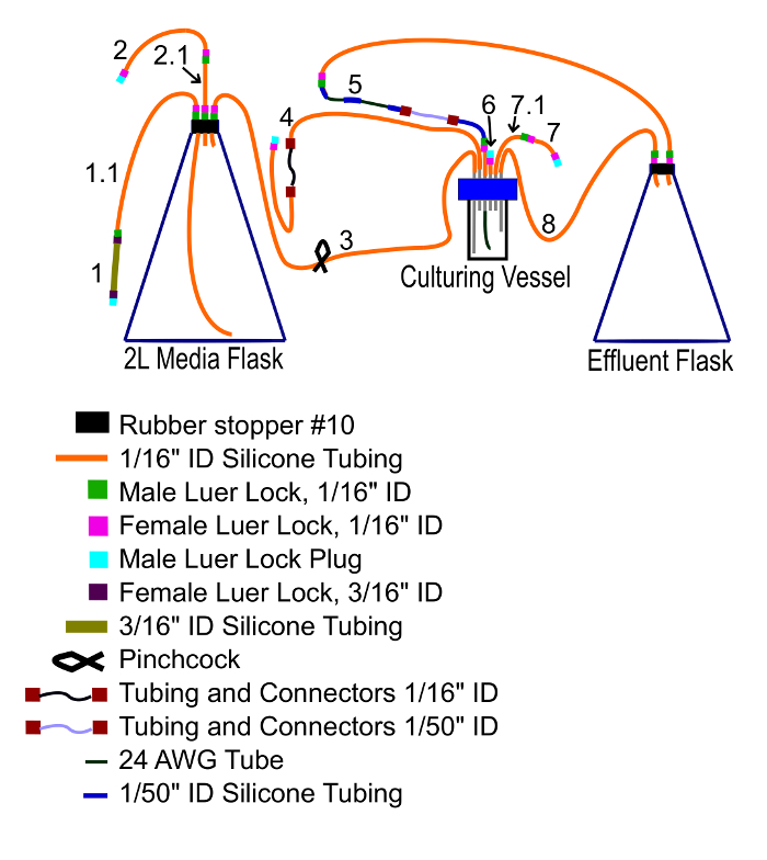 Culturing vessel diagram; fluid flow setup with media and effluent flasks, silicone tubing, Luer locks.