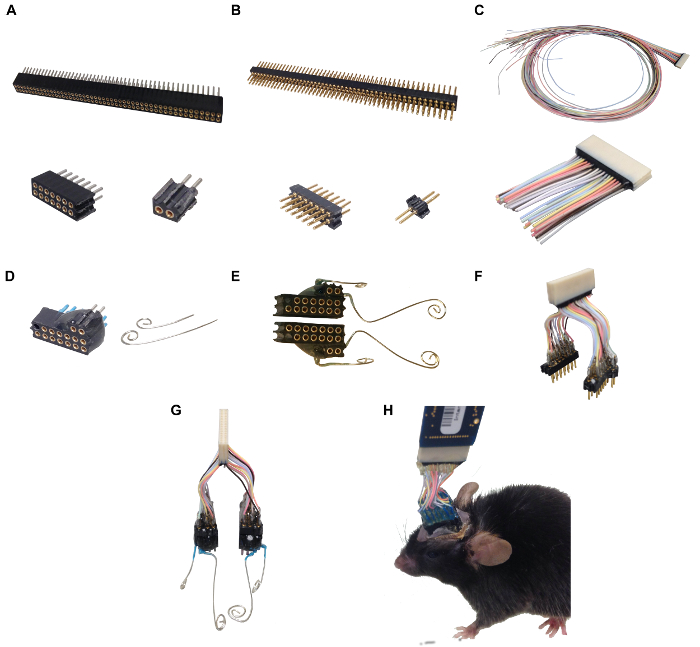 figure-results-1 Neural interface setup diagram; connector components detailed, experimental setup for brain research.