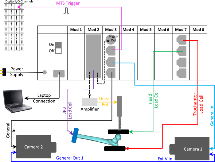 Biomechanics load cell experiment diagram showing sensor connections; data acquisition, analysis setup.